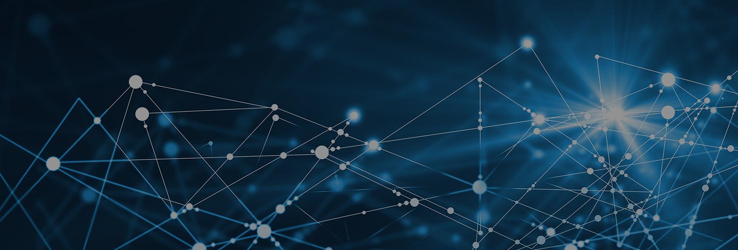 Netwolves-Header-Image-Connectivity-120517